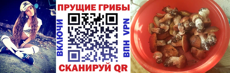 Псилоцибиновые грибы прущие грибы Северодвинск