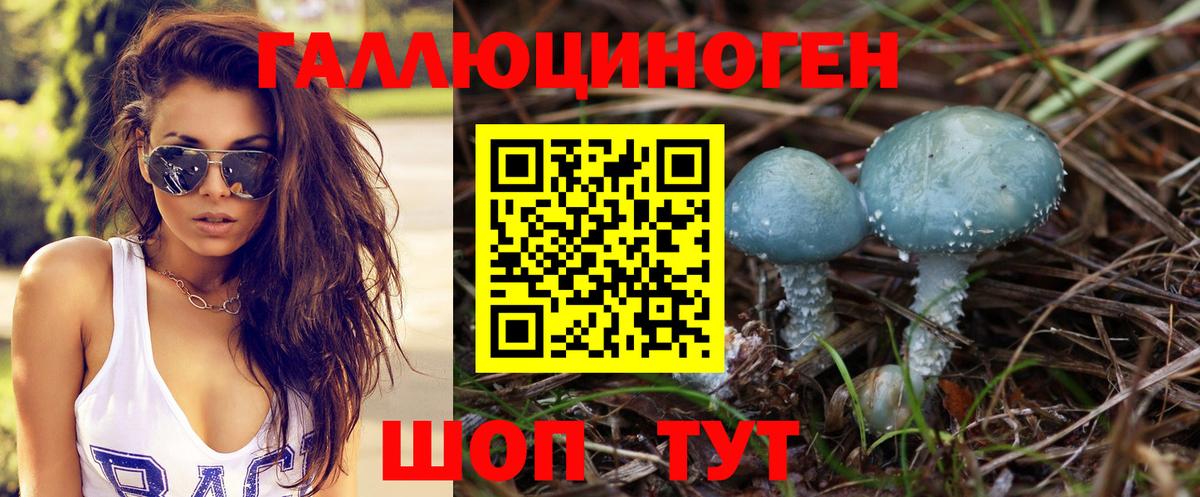 Галлюциногенные грибы Psilocybe  Вход с VPN  Северодвинск  Галлюциногенные грибы Magic Shrooms 