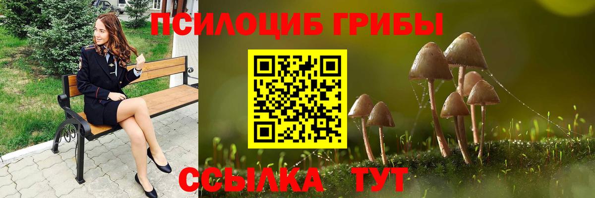 Галлюциногенные грибы Psilocybine cubensis Северодвинск